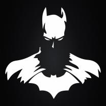 -BATMAN-'s Avatar