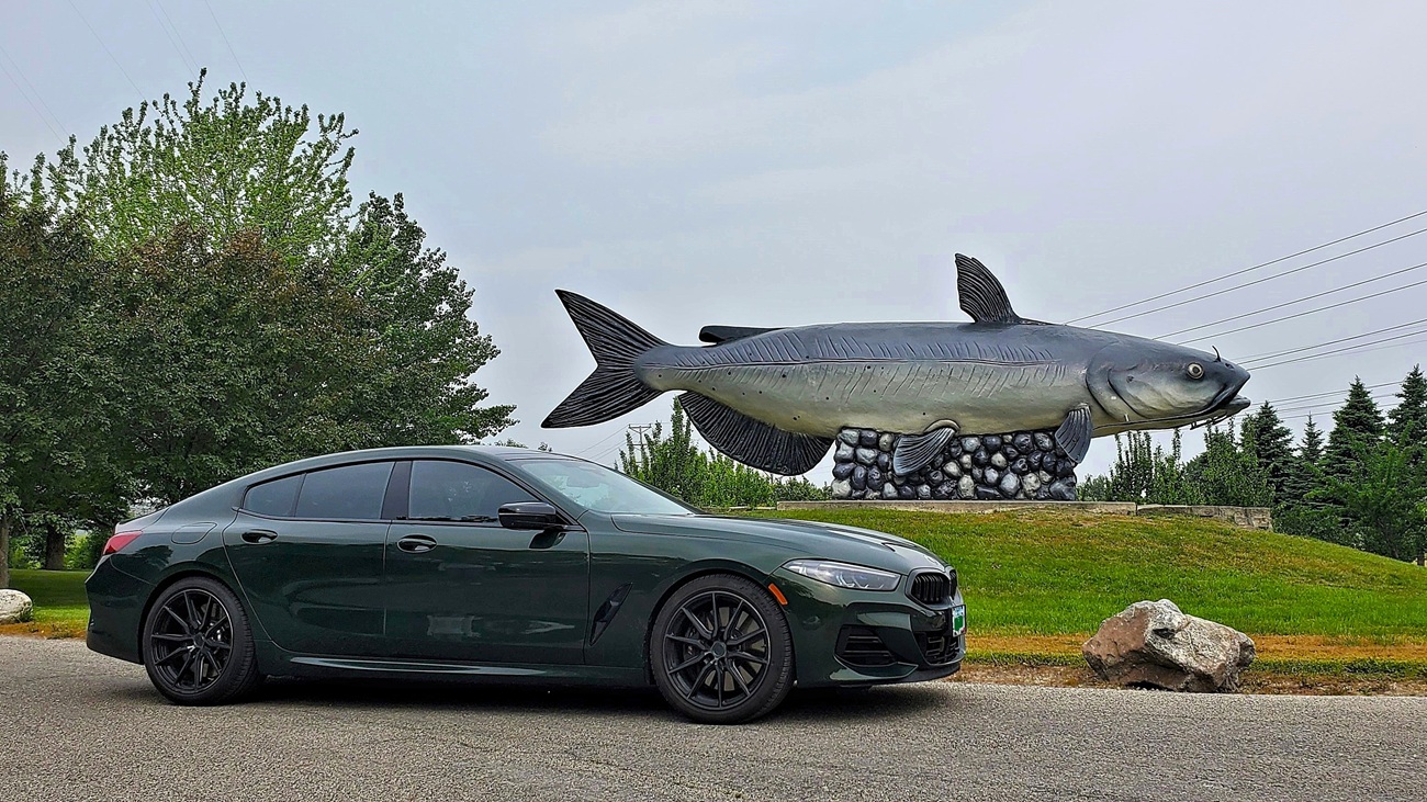 Name:  2-Cover A 20250612_094818.jpg
Views: 2682
Size:  434.2 KB