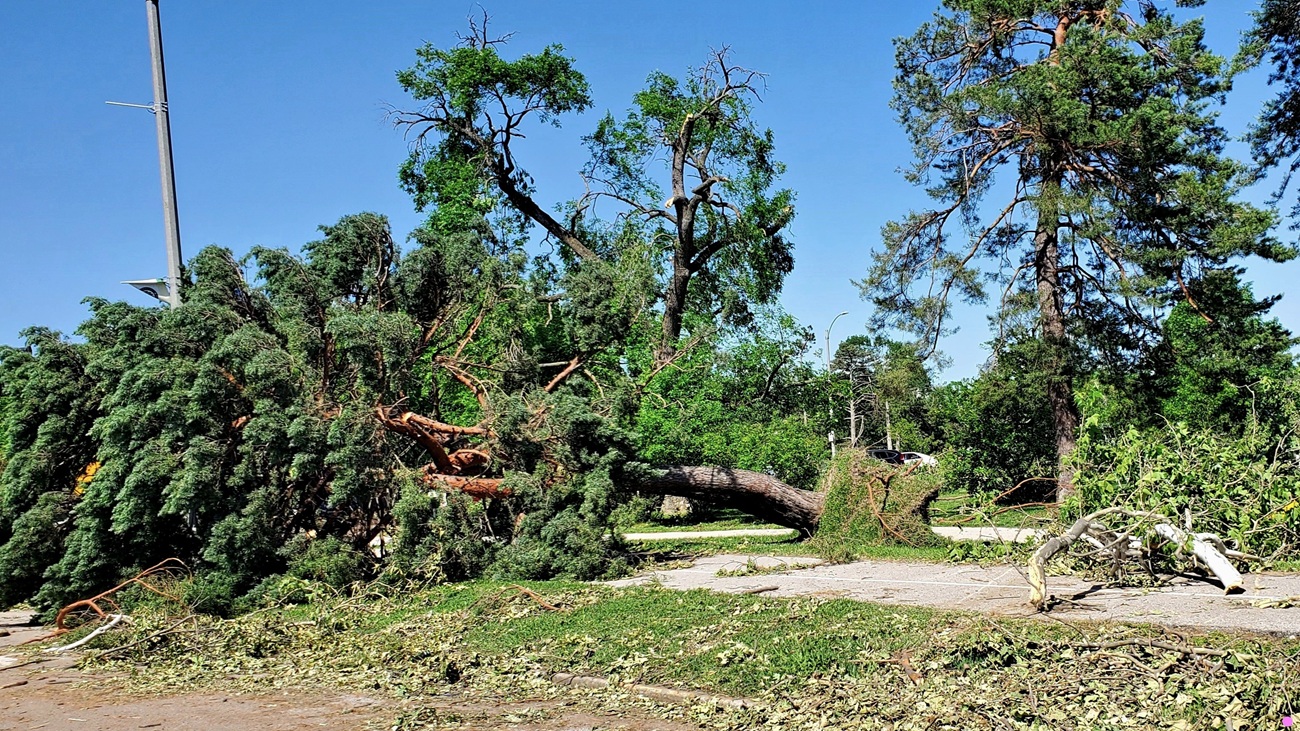 Name:  144-20250518_152738.jpg
Views: 2186
Size:  648.6 KB