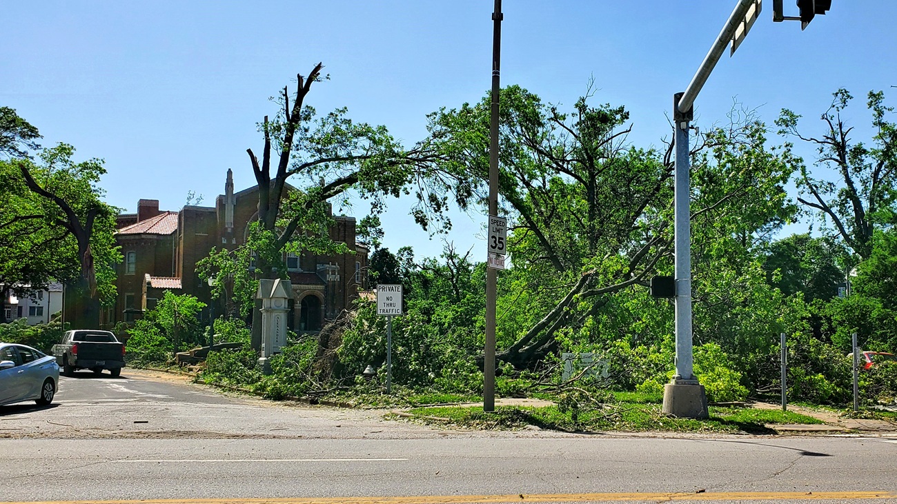 Name:  145-20250518_152626.jpg
Views: 2171
Size:  575.0 KB