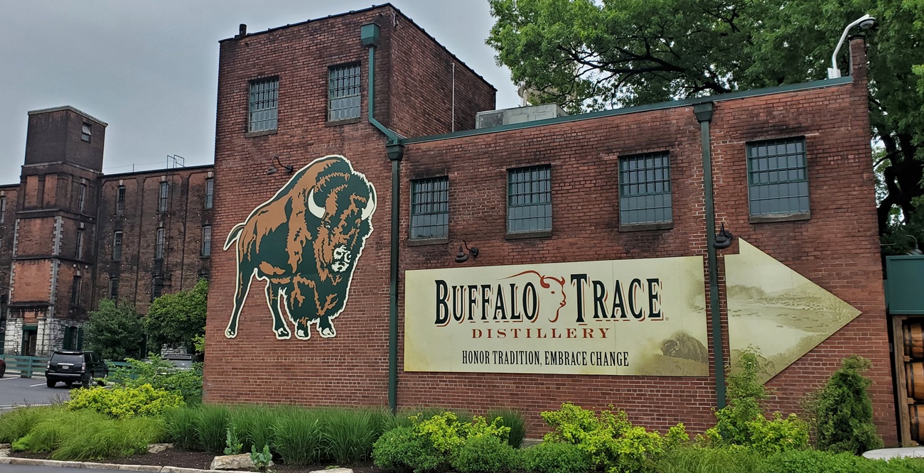 Name:  225-20250520_111243.jpg
Views: 2018
Size:  447.1 KB