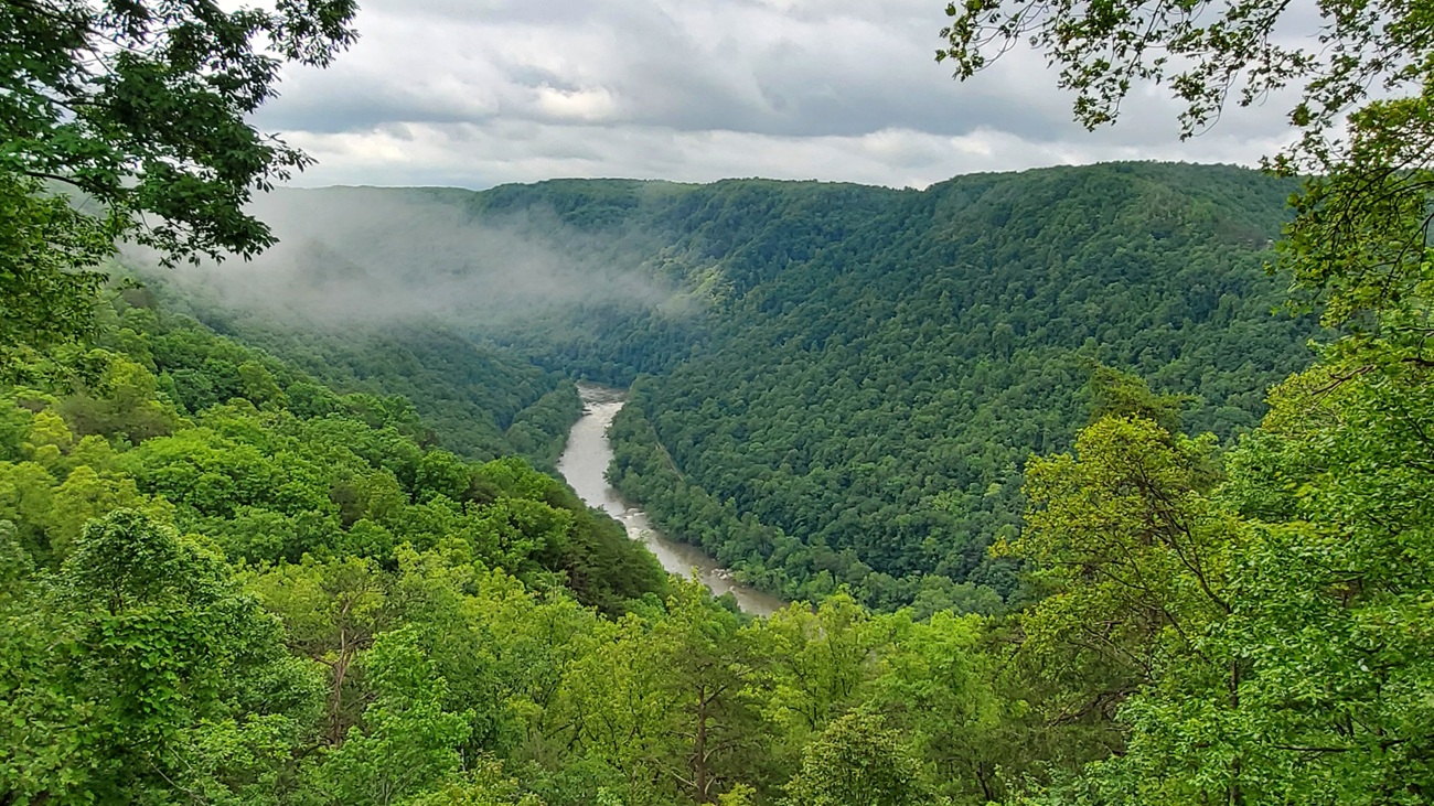 Name:  245-20250521_100124.jpg
Views: 1983
Size:  529.7 KB