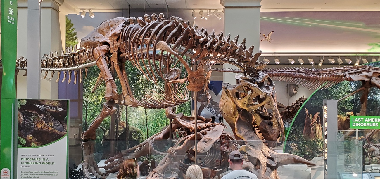 Name:  343-20250524_101405.jpg
Views: 1848
Size:  405.8 KB