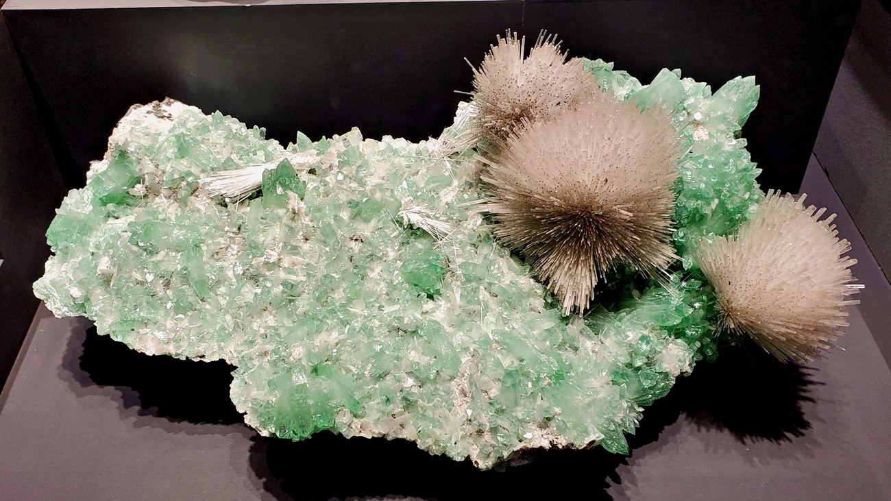 Name:  344-20250524_105910.jpg
Views: 1843
Size:  386.6 KB