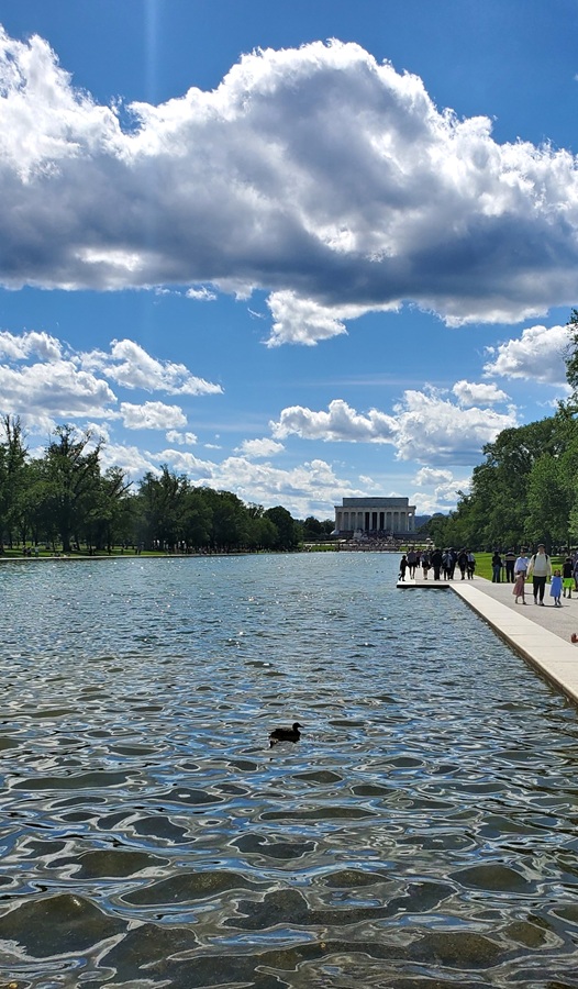 Name:  363-20250524_154454.jpg
Views: 1817
Size:  227.8 KB