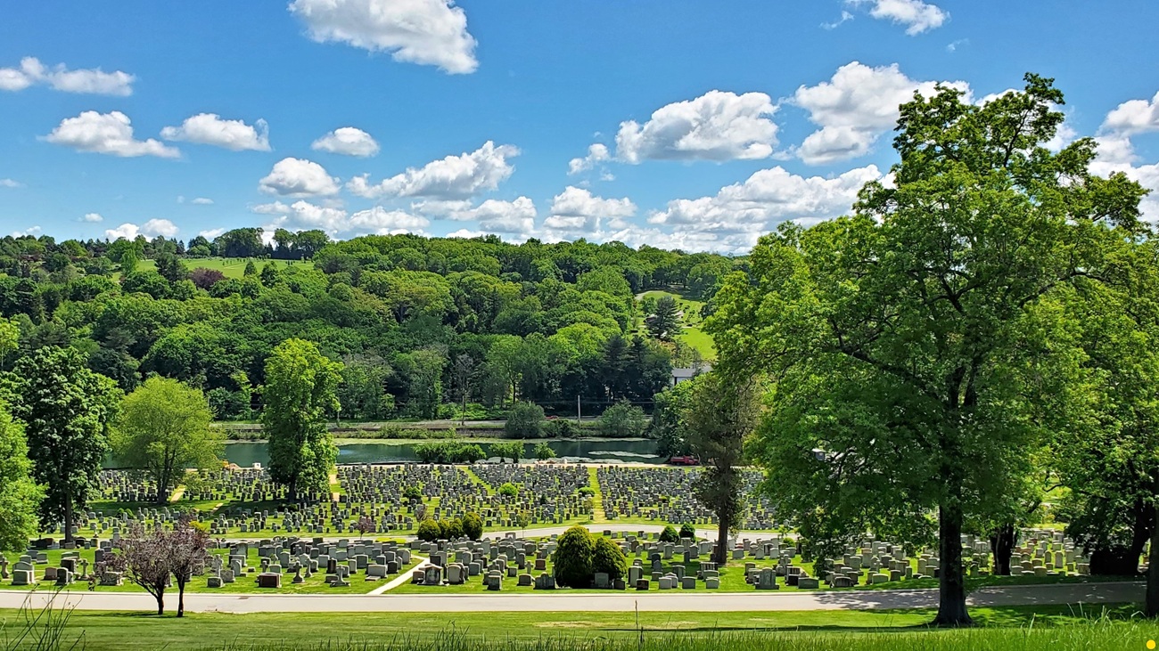 Name:  421-20250526_111512.jpg
Views: 1774
Size:  526.6 KB