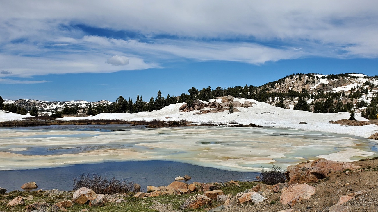 Name:  1115-20250614_114922.jpg
Views: 80
Size:  374.4 KB