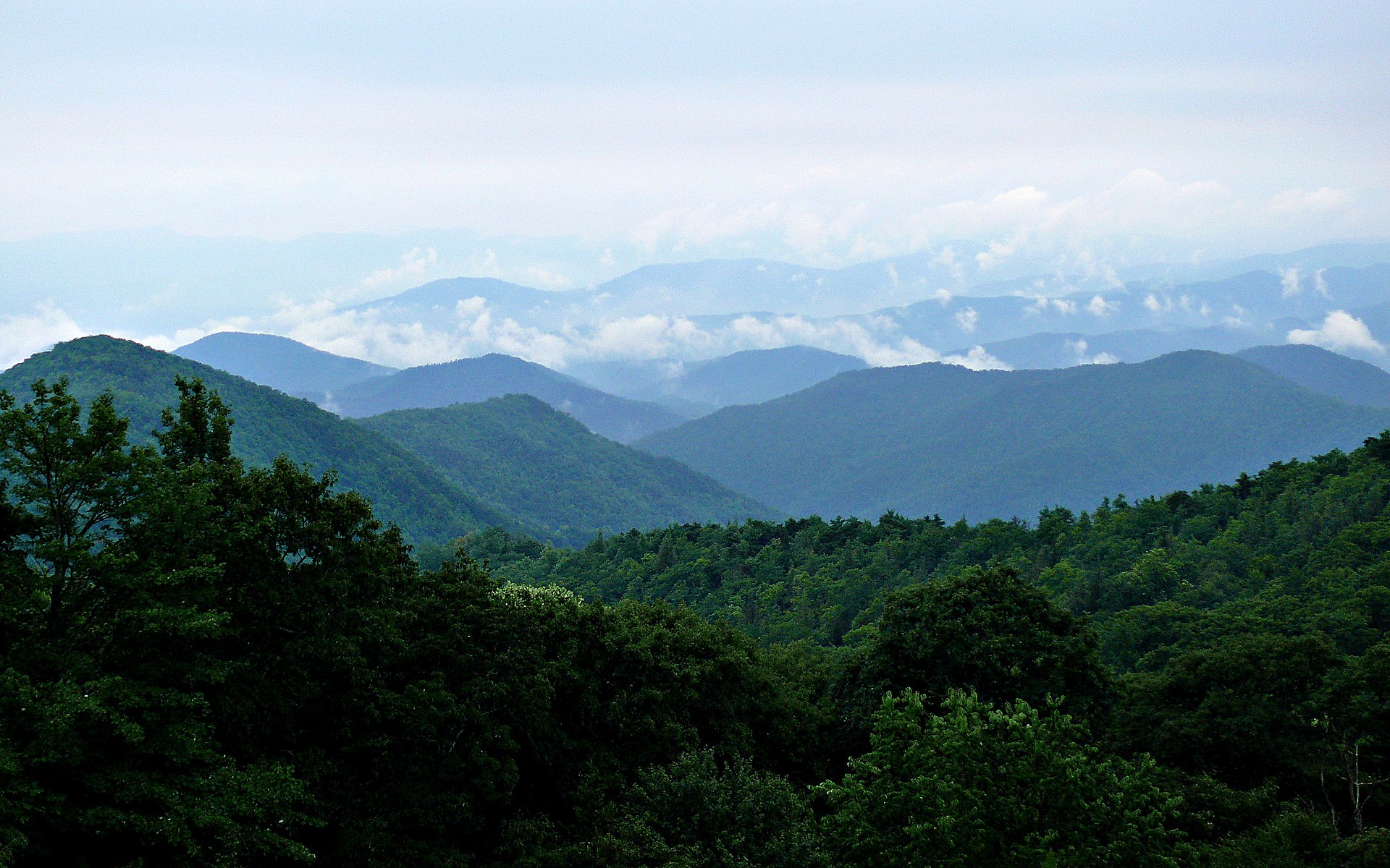 Name:  Rainy_Blue_Ridge-27527.jpg
Views: 8709
Size:  549.4 KB