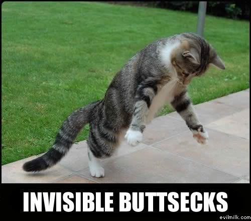 Name:  Invisible_buttsecks.jpg
Views: 23400
Size:  35.0 KB