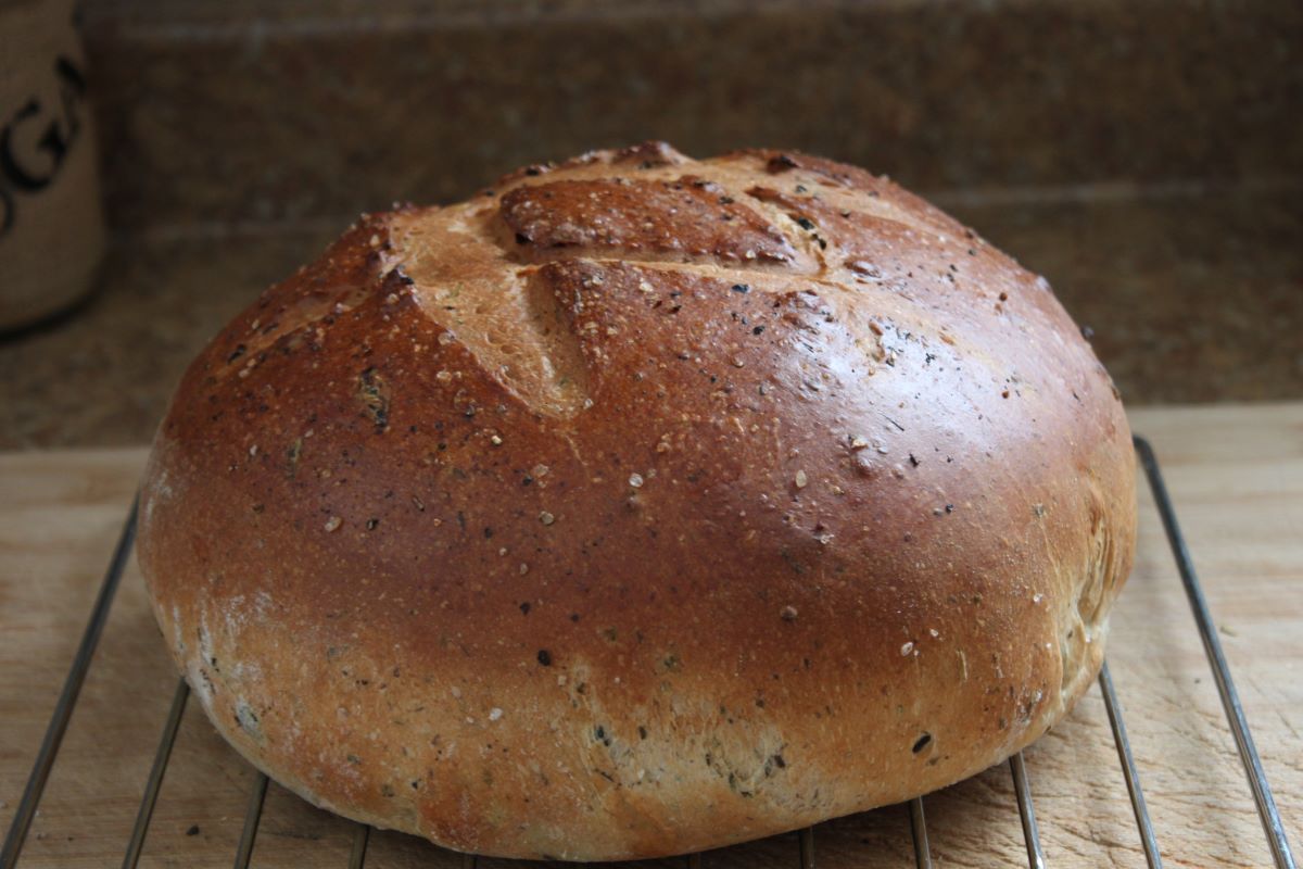 Name:  Olive bread 2.JPG
Views: 3130
Size:  118.8 KB